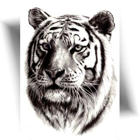 Tete De Tigre Tatouage