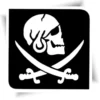 Pochoir tatouage éphémère pirate avec paillettes, utilisé pour créer des tatouages ludiques lors d'animations pour enfants.