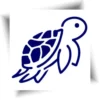 Tatouage tortue au jagua réaliste, symbole de longévité et de patience, qui dure jusqu'à 15 jours.