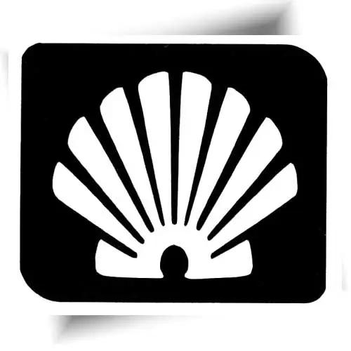 Pochoir adhésif coquillage ! Facile à utiliser, il permet de créer de jolis tatouages éphémères scintillants pour petits et grands.