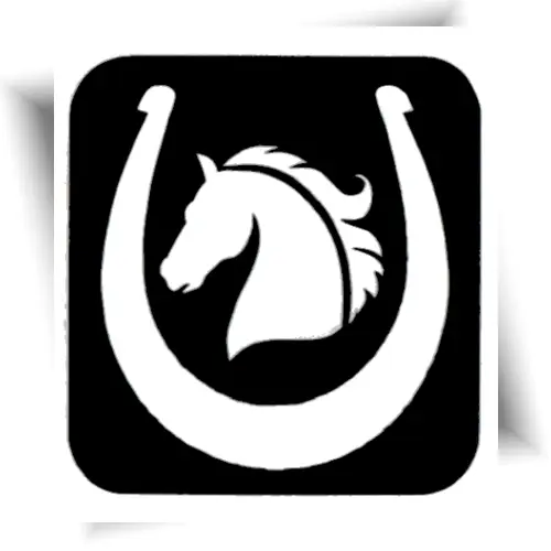 Pochoir adhésif en forme de fer à cheval pour réaliser un tatouage éphémère sur la peau.