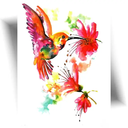Tatouage temporaire colibri aquarelle coloré