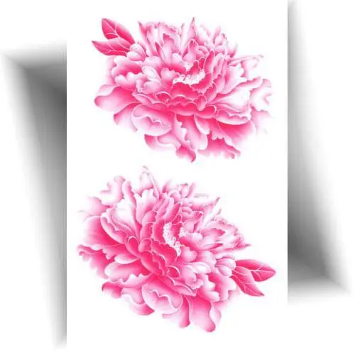 Planche de tatouage éphémère avec deux fleurs de pivoine roses pour femme.
