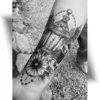 Tatouage éphémère représentant une lanterne en noir et gris avec cartes à jouer, boussole et ailes.