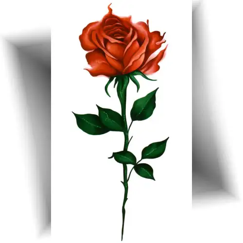 tatouage rose rouge éphémère