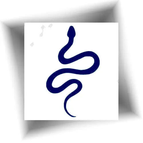 Tatouage minimaliste serpent au jagua semi-permanent.