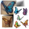 Tatouage temporaire papillons pailletés avec cinq motifs colorés et scintillants. Facile à appliquer et à retirer, ce tatouage éphémère apportera une touche de brillance et de couleur à votre style.